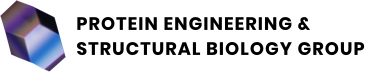 Protein Engineering and Structural Biology Group